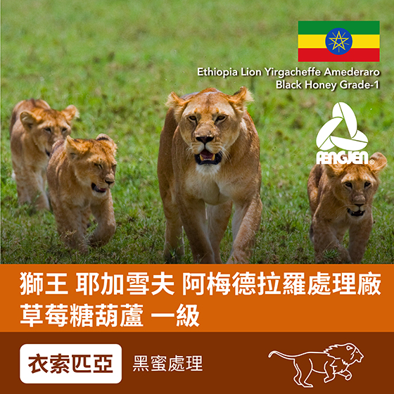 衣索匹亞-獅王