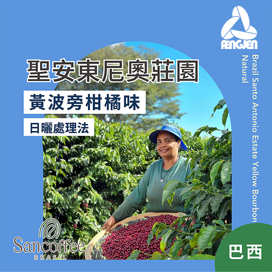 黃波旁日曬