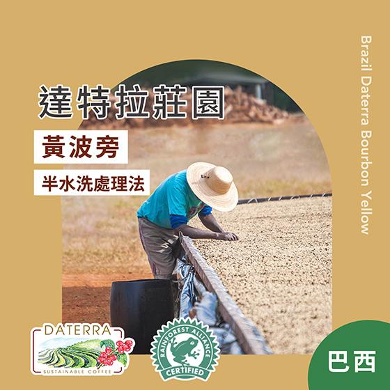 巴西 達特拉莊園 黃波旁【半水洗處理】