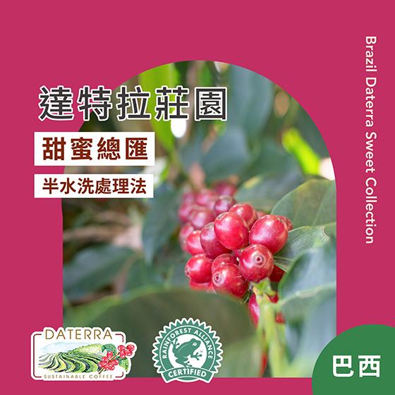 巴西 達特拉莊園 甜蜜總匯【半水洗處理】