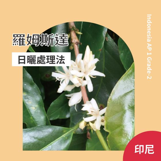 印尼  爪哇 羅姆斯達【日曬處理】