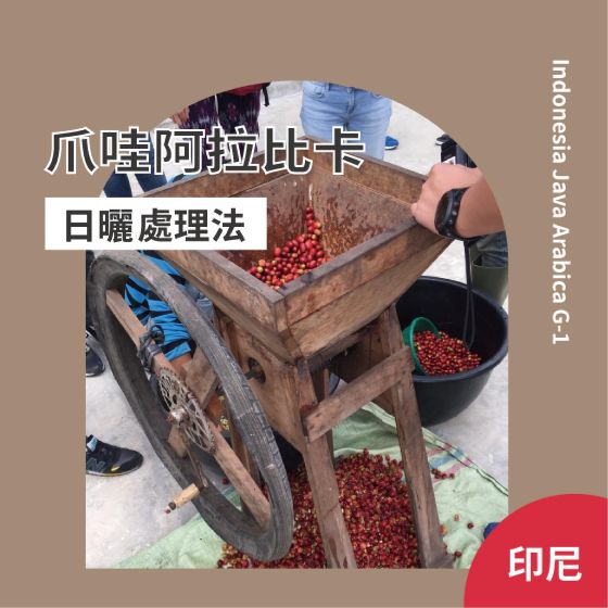 印尼 爪哇 阿拉比卡【日曬處理】