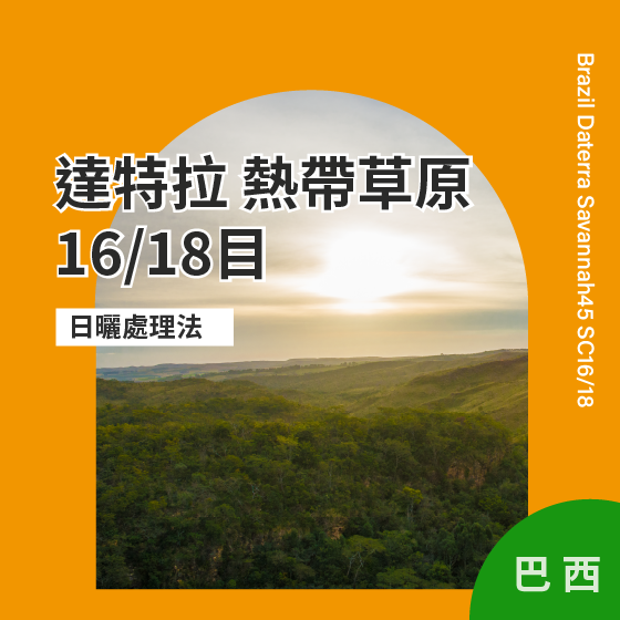 巴西 達特拉 熱帶草原 16/18目【日曬】