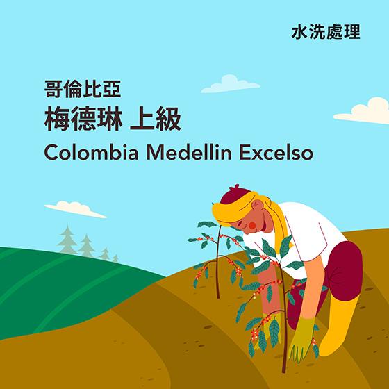 哥倫比亞 梅德琳 上級【水洗】