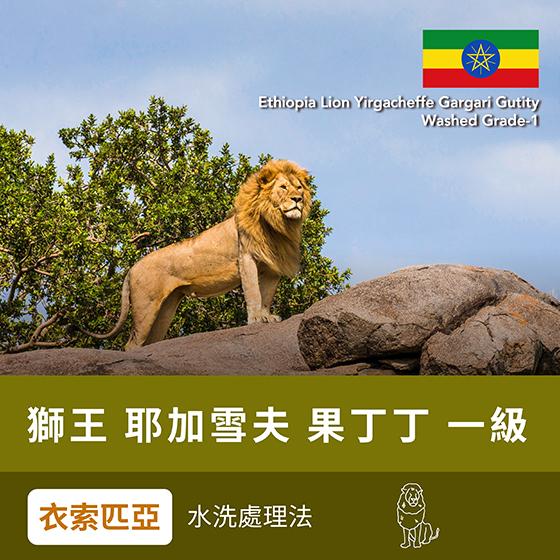 衣索匹亞 獅王 耶加雪夫 果丁丁 一級【水洗】