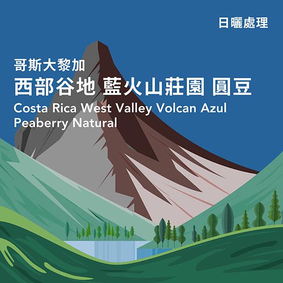 哥斯大黎加 西部谷地 藍火山莊園 圓豆【日曬處理】