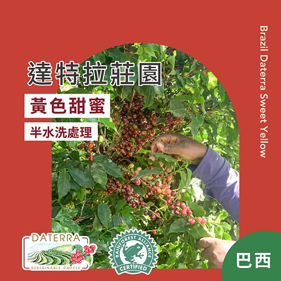 巴西 達特拉莊園 黃色甜蜜【半水洗處理】
