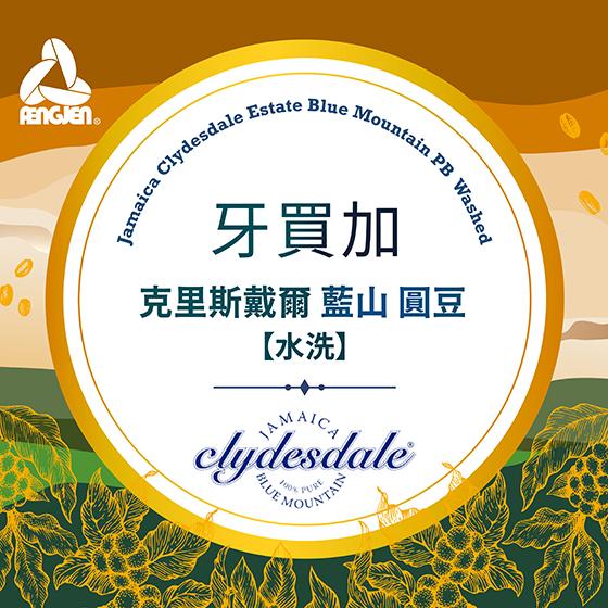 牙買加 克里斯戴爾 藍山 圓豆【水洗處理】