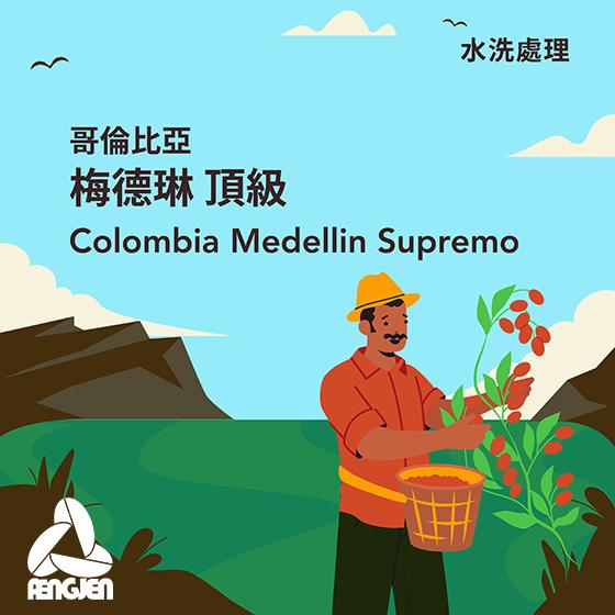 哥倫比亞 梅德琳 頂級【水洗處理】