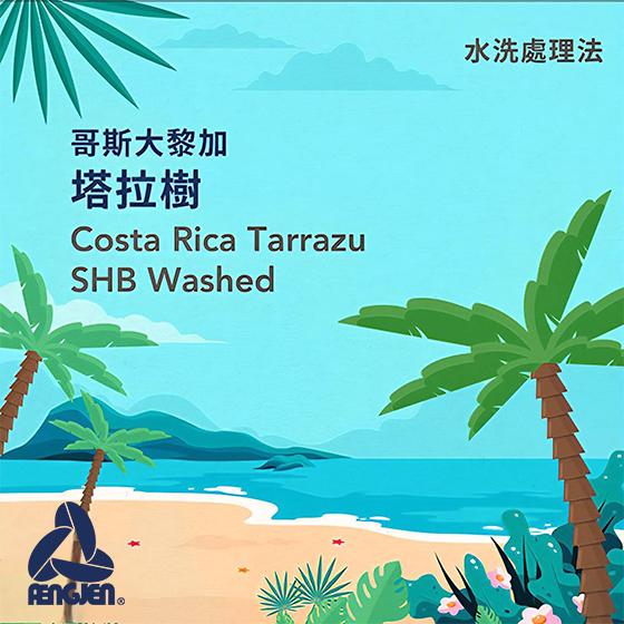 哥斯大黎加 塔拉樹 SHB 【水洗】