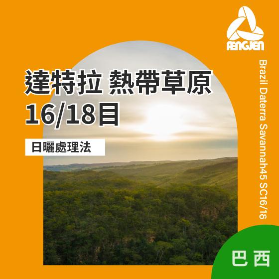 巴西 達特拉 熱帶草原 16/18目【日曬處理】