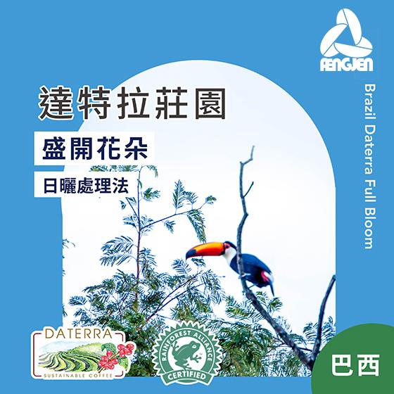 巴西 達特拉莊園 盛開花朵【日曬處理】