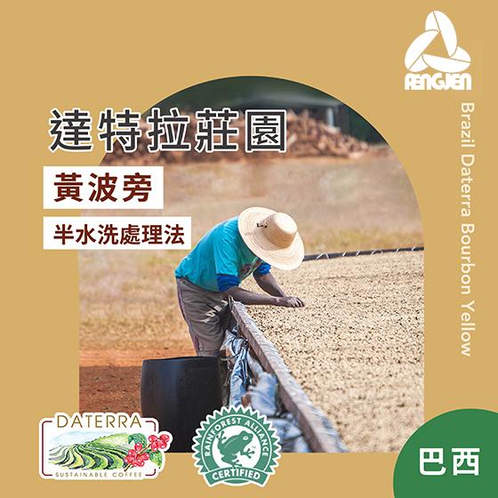 巴西 達特拉莊園 黃波旁【半水洗處理】
