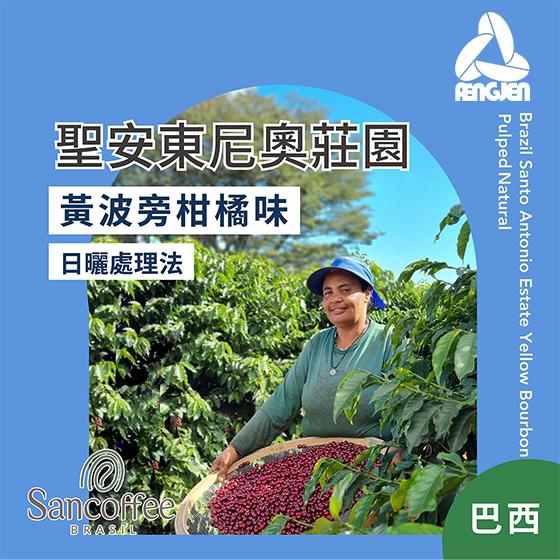 巴西 聖安東尼奧莊園  黃波旁柑橘味 【日曬處理】