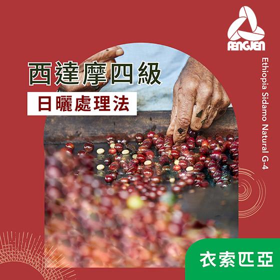 衣索匹亞 西達摩四級【日曬】