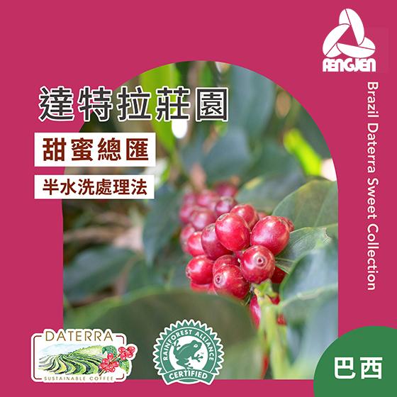 巴西 達特拉莊園 甜蜜總匯【半水洗處理】