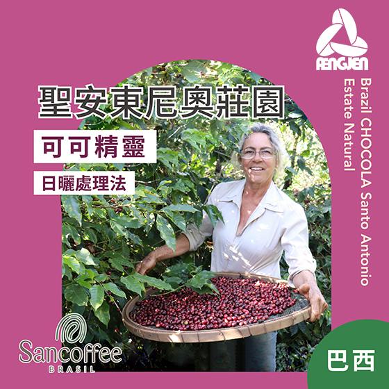 巴西 聖安東尼奧莊園 可可精靈【日曬】