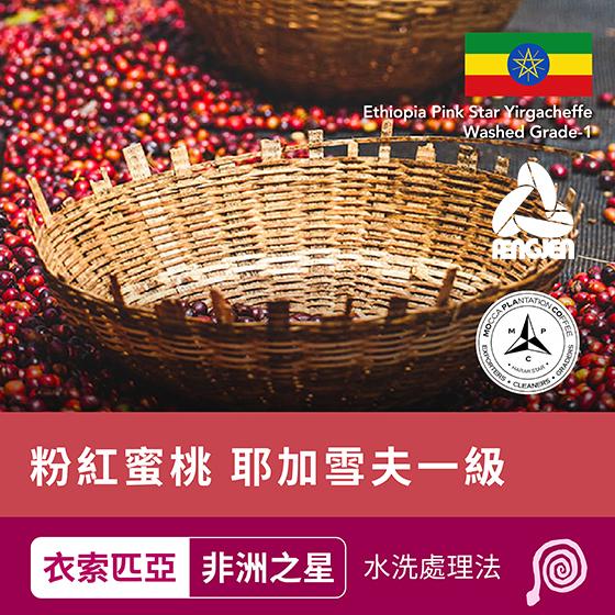 衣索匹亞 非洲之星 粉紅蜜桃 耶加雪夫一級【水洗】