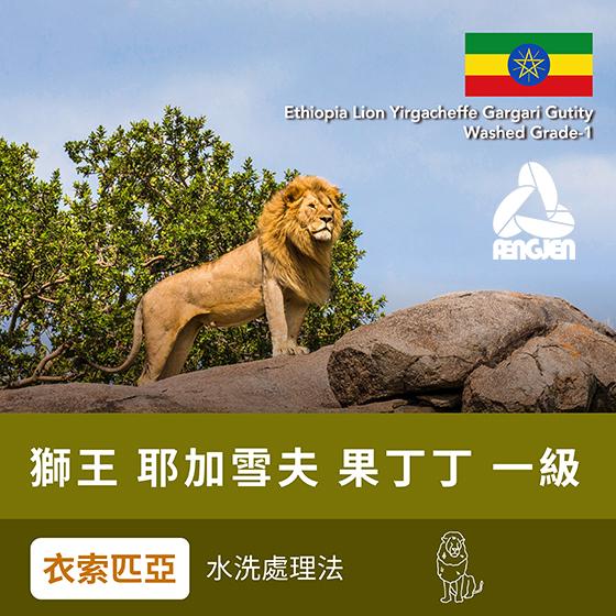 衣索匹亞 獅王 耶加雪夫 果丁丁 一級【水洗】