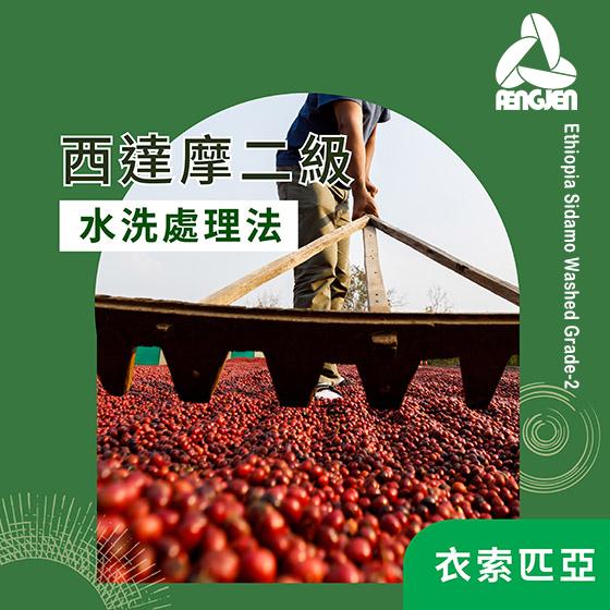 衣索匹亞 西達摩二級【水洗】