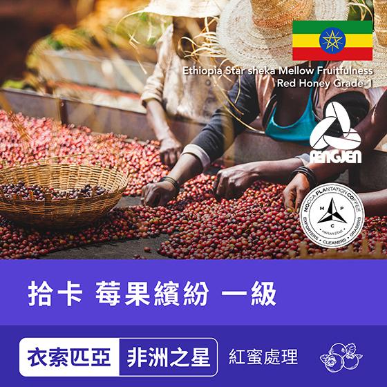 衣索匹亞 非洲之星 拾卡 莓果繽紛 一級【紅蜜處理】