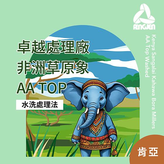 肯亞 卓越處理廠 非洲草原象 AA Top【水洗處理】