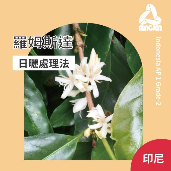 印尼  爪哇 羅姆斯達【日曬處理】