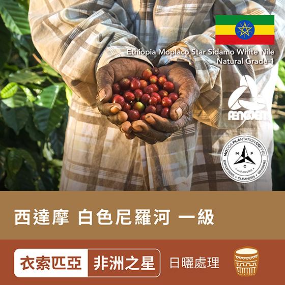 衣索匹亞 非洲之星 西達摩 白色尼羅河 一級【日曬】