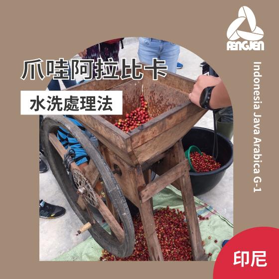 印尼 爪哇 阿拉比卡【全水洗處理】