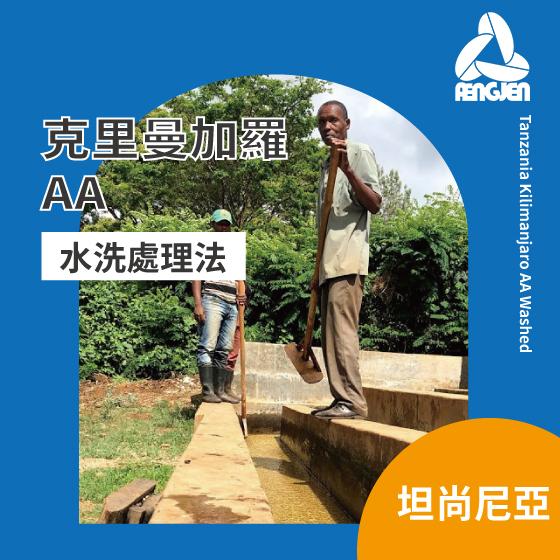 坦尚尼亞 克里曼加羅 AA 【水洗處理】