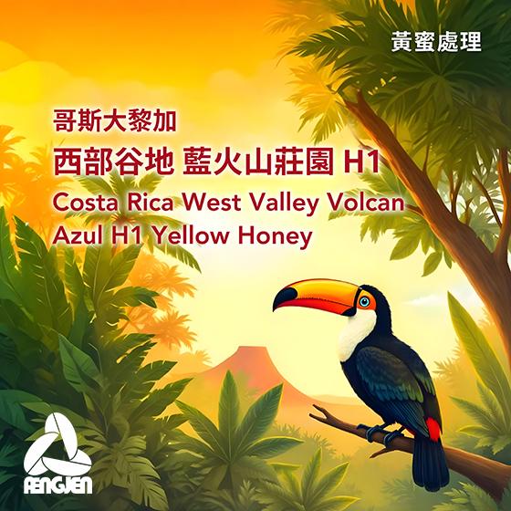 哥斯大黎加 西部谷地 藍火山莊園 H1【黃蜜處理】