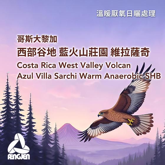 哥斯大黎加 西部谷地 藍火山莊園 維拉薩奇【溫暖厭氧日曬處理】