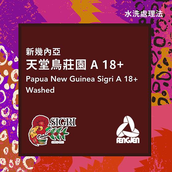 新幾內亞 天堂鳥莊園 A 18+【水洗】