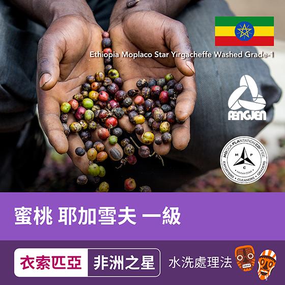 衣索匹亞 非洲之星 蜜桃 耶加雪夫 一級【水洗】