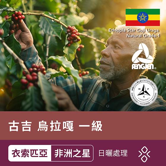 衣索匹亞 非洲之星 古吉 烏拉嘎 一級【日曬處理】