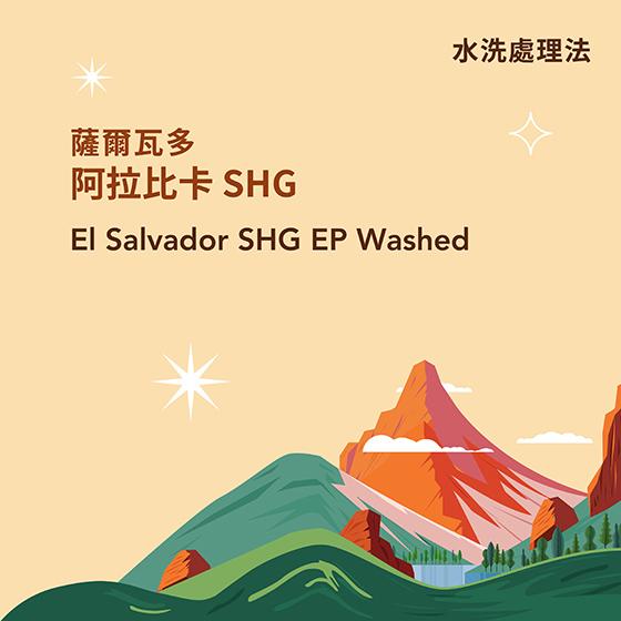 薩爾瓦多 阿拉比卡 SHG【水洗處理】