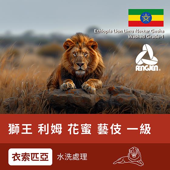 衣索匹亞 獅王 利姆 花蜜 藝妓 一級【水洗處理】