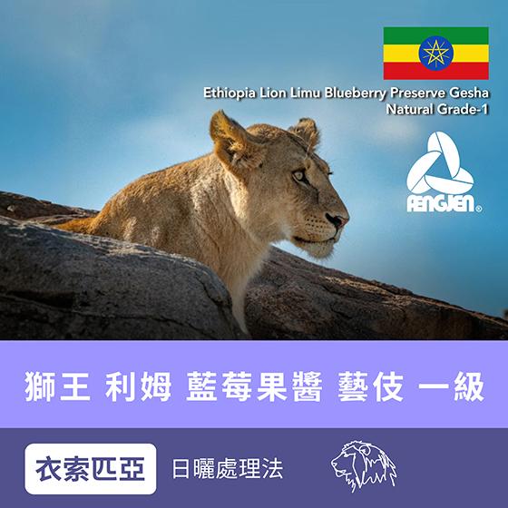 衣索匹亞 獅王 利姆 藍莓果醬 藝妓 一級【日曬】