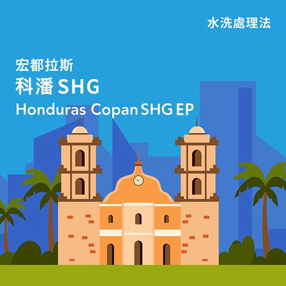 宏都拉斯 科潘 SHG規格【水洗處理】