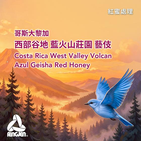 哥斯大黎加 西部谷地 藍火山莊園 藝妓【紅蜜處理】