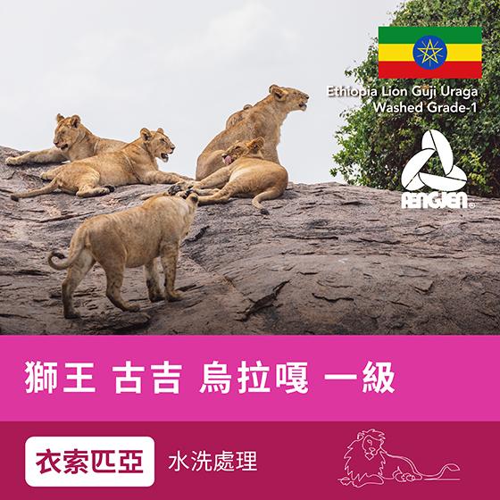 衣索匹亞 獅王 古吉 烏拉嘎 一級【水洗】