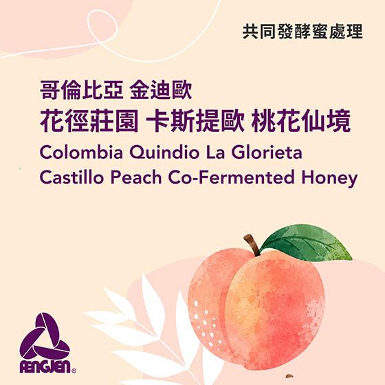 哥倫比亞 金迪歐 花徑莊園 卡斯提歐 桃花仙境【共發酵蜜處理】