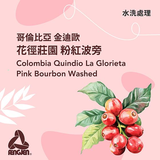 哥倫比亞 金迪歐 花徑莊園 粉紅波旁【水洗】