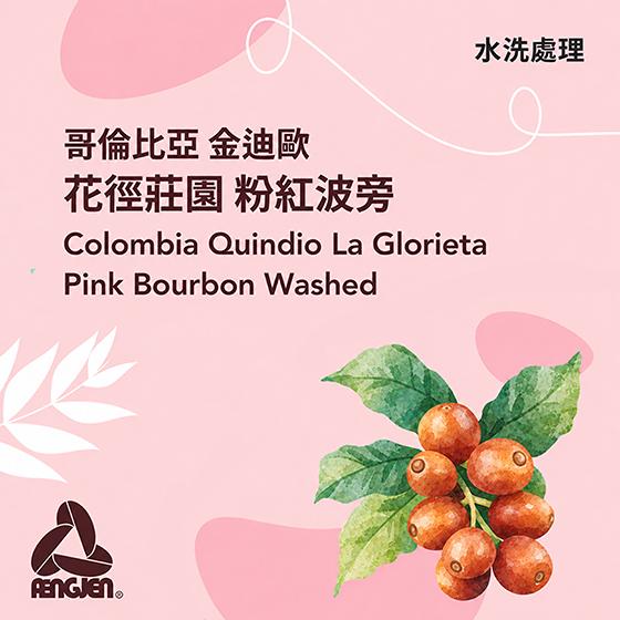 哥倫比亞 金迪歐 花徑莊園 粉紅波旁【水洗】