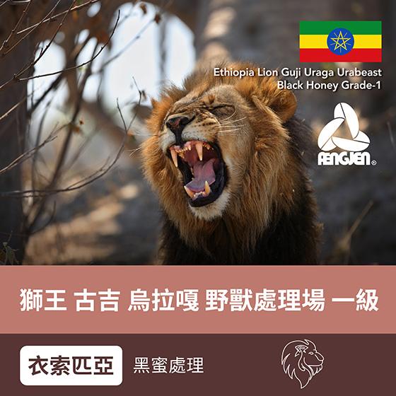 衣索匹亞 獅王 古吉 烏拉嘎 野獸處理場 一級【黑蜜處理】