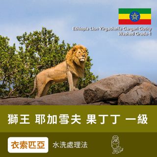 獅王果丁丁水洗