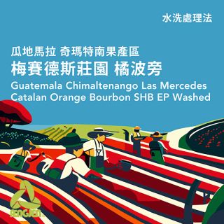 梅賽德斯橘