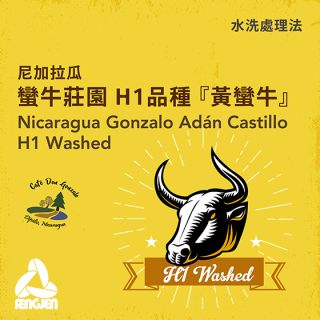 蠻牛水洗