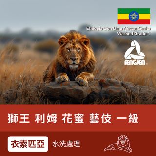 衣索匹亞-獅王-1104 (2)