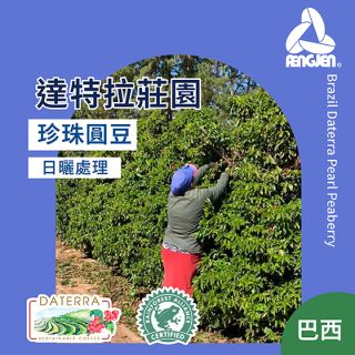 巴西 達特拉莊園PB